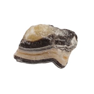 Zebra Calciet 04