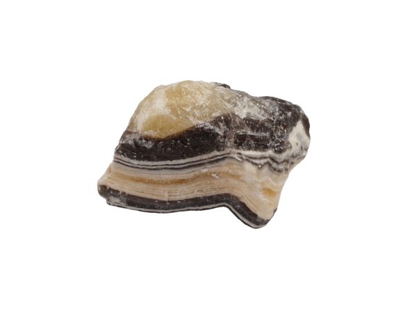 Zebra Calciet 04
