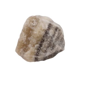 Zebra Calciet 03