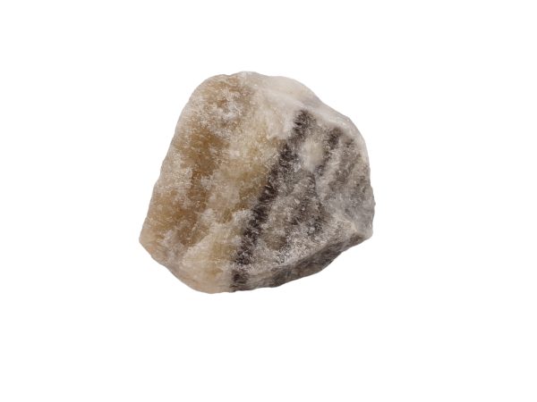 Zebra Calciet 03
