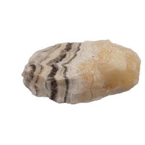 Zebra Calciet 02