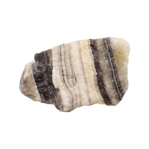 Zebra Calciet 05