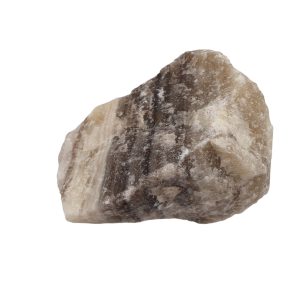 Zebra Calciet 06