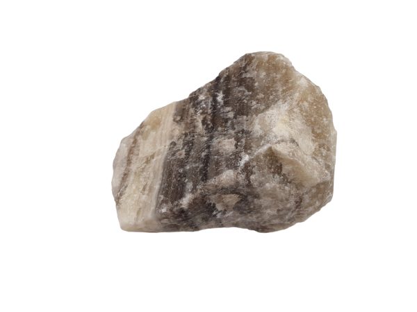 Zebra Calciet 06