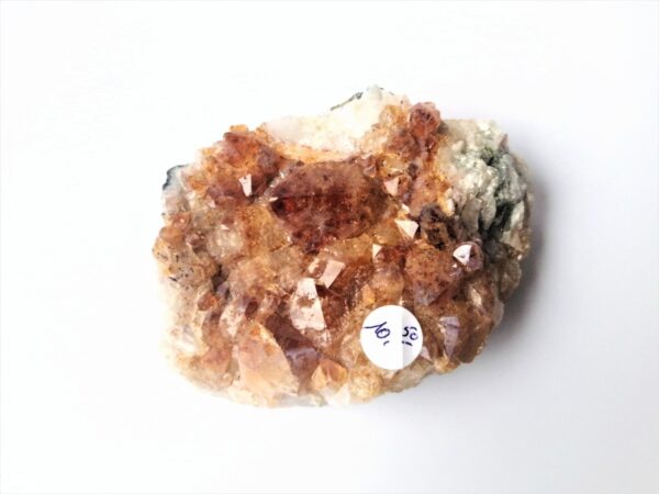 Citrien 16