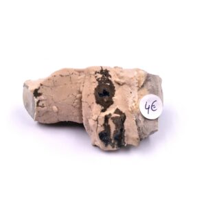 Septaria 03