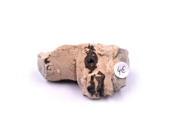 Septaria 03