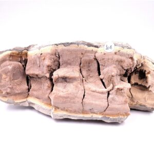 Septaria 05