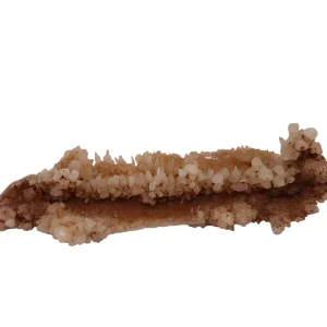 Aragoniet 14
