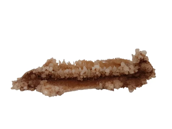 Aragoniet 14