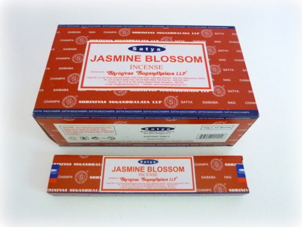 Jasmine blossom