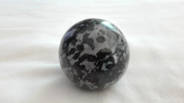 Gabbro 05
