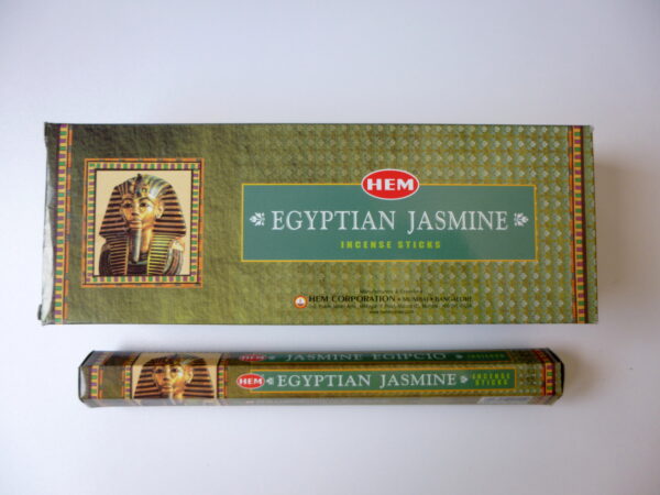 Egyptian jasmine