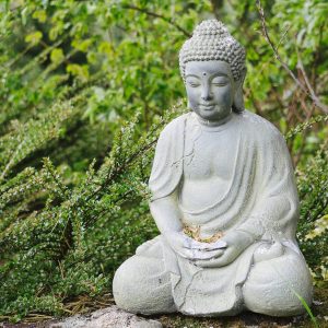 Boeddha beelden