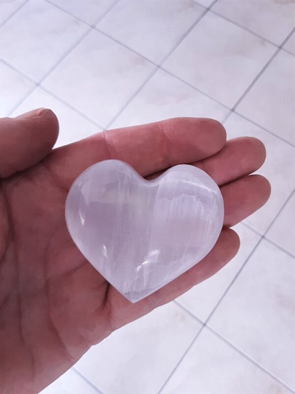 Seleniet hart groot