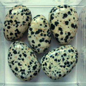 Jaspis Dalmatiër
