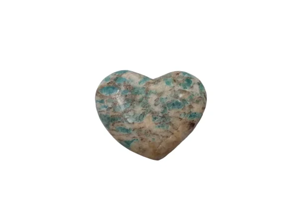 Hart Amazoniet 02