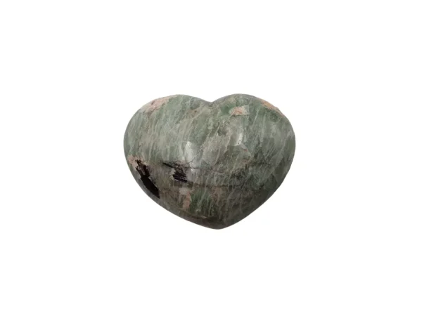 Hart Amazoniet 04