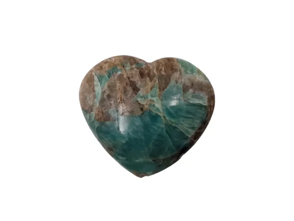 Hart Amazoniet 05