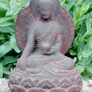 Medicijn Buddha
