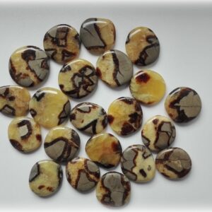 Oplegger Septaria