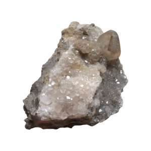 Calciet 19