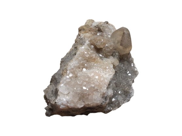 Calciet 19