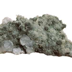 Calciet 21