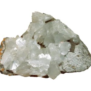 Calciet 22