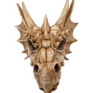 Draak 10