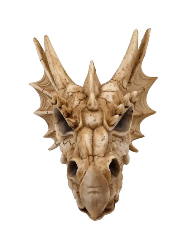 Draak 10