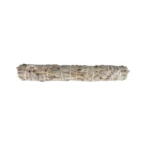 Witte salie bundel