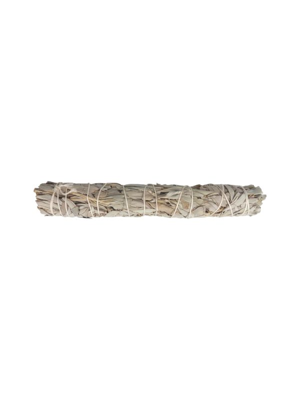 Witte salie bundel