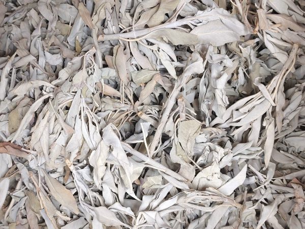 Witte salie clusters