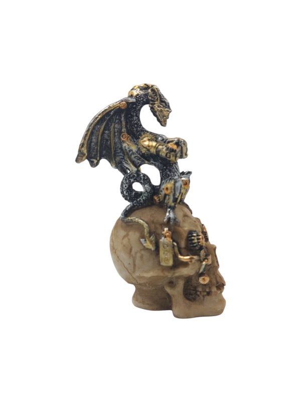 Mini skull met draak 01