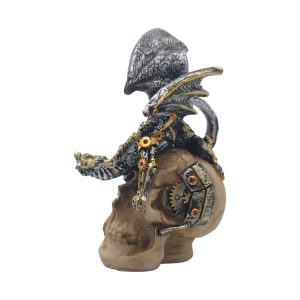 Mini skull met draak 03