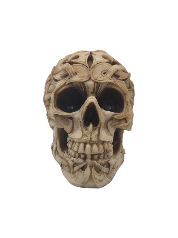 Skull 01 - Afbeelding 2