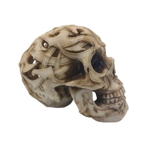 Skull 01