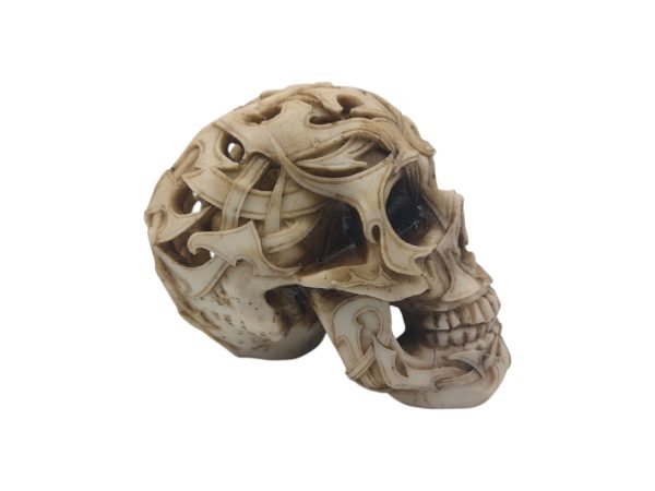 Skull 01