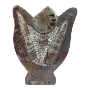 Fossiel sculptuur 02