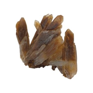 Bariet 26